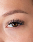 GLAM - PRESS AND GO UNDERLASHES - G Beauty Lashes
