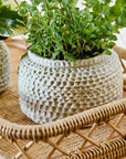 AOBA krukke i cement, M